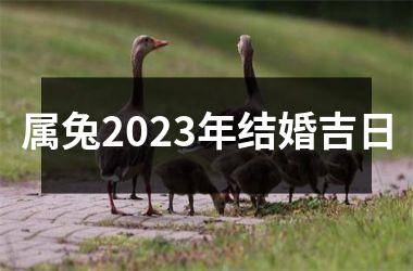 <h3>属兔2025年结婚吉日