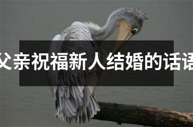 <h3>父亲祝福新人结婚的话语