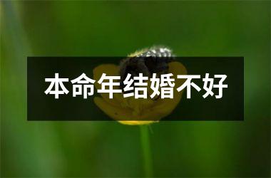 <h3>本命年结婚不好