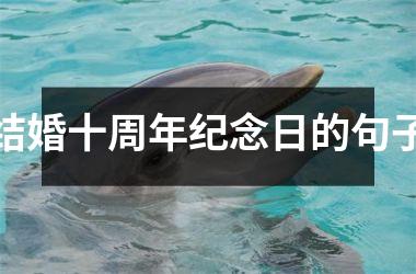 <h3>结婚十周年纪念日的句子