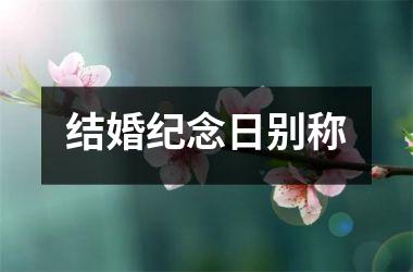 <h3>结婚纪念日别称