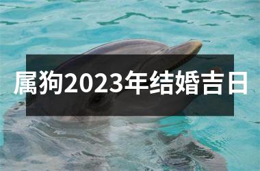<h3>属狗2025年结婚吉日