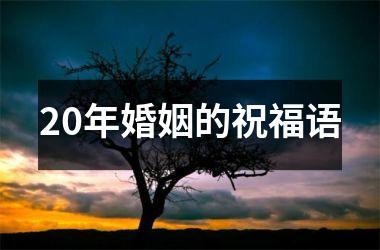 <h3>20年婚姻的祝福语