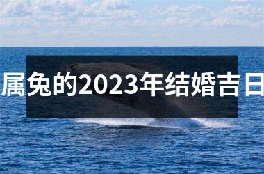 <h3>属兔的2025年结婚吉日