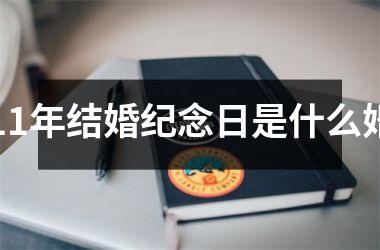 <h3>11年结婚纪念日是什么婚