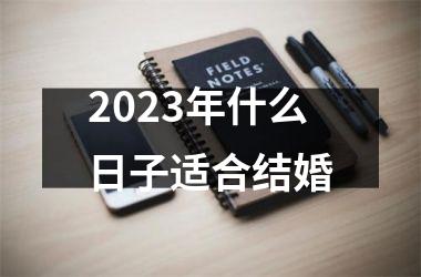<h3>2025年什么日子适合结婚
