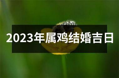 <h3>2025年属鸡结婚吉日