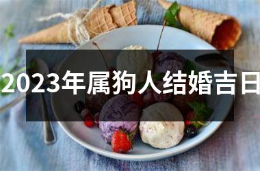 <h3>2025年属狗人结婚吉日