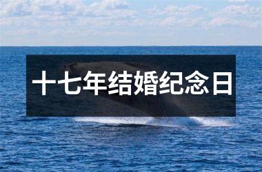 <h3>十七年结婚纪念日