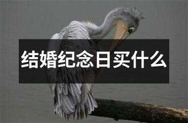 <h3>结婚纪念日买什么