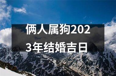 <h3>俩人属狗2025年结婚吉日