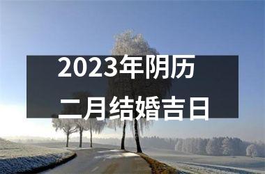<h3>2025年阴历二月结婚吉日