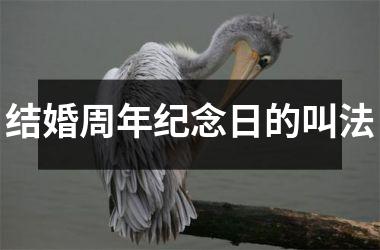 <h3>结婚周年纪念日的叫法