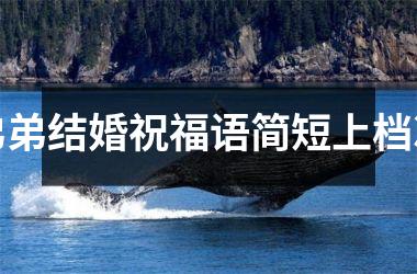 <h3>弟弟结婚祝福语简短上档次