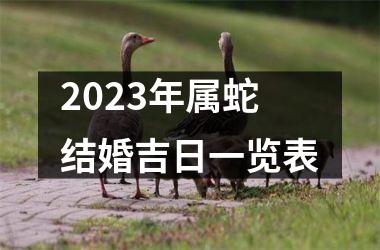 <h3>2025年属蛇结婚吉日一览表