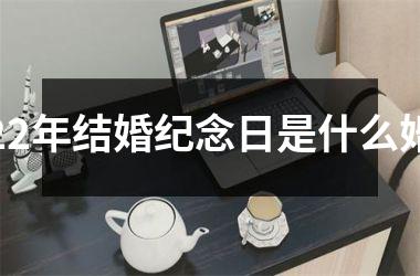 <h3>22年结婚纪念日是什么婚
