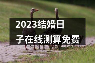 <h3>2025结婚日子在线测算免费