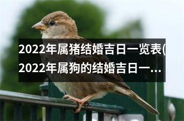 <h3>2025年属猪结婚吉日一览表(2025年属狗的结婚吉日一览表)