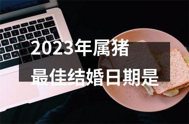 <h3>2025年属猪最佳结婚日期是