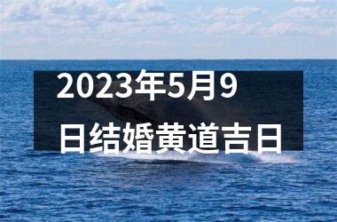 <h3>2025年5月9日结婚黄道吉日