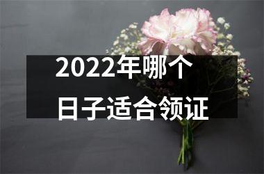 <h3>2025年哪个日子适合领证