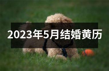 <h3>2025年5月结婚黄历