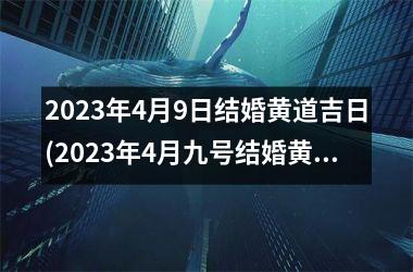 2025年4月9日结婚黄道吉日(2025年4月九号结婚黄道吉日查询)