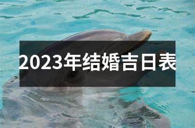 <h3>2025年结婚吉日表