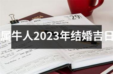 <h3>属牛人2025年结婚吉日