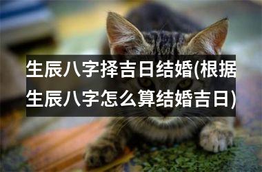 生辰八字择吉日结婚(根据生辰八字怎么算结婚吉日)