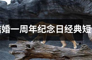 <h3>结婚一周年纪念日经典短句