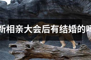 新相亲大会后有结婚的吗