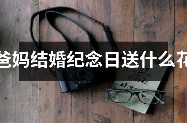 <h3>爸妈结婚纪念日送什么花