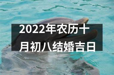 <h3>2025年农历十月初八结婚吉日