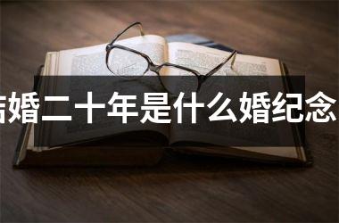 <h3>结婚二十年是什么婚纪念日