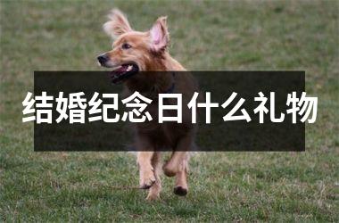 <h3>结婚纪念日什么礼物