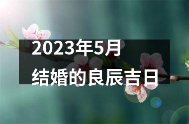 <h3>2025年5月结婚的良辰吉日