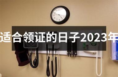 <h3>适合领证的日子2025年