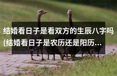 <h3>结婚看日子是看双方的生辰八字吗(结婚看日子是农历还是阳历)