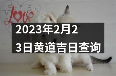 <h3>2025年2月23日黄道吉日查询