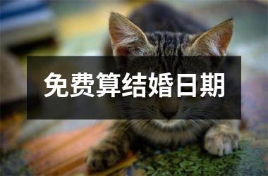 <h3>免费算结婚日期