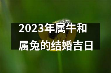 2025年属牛和属兔的结婚吉日
