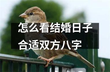 <h3>怎么看结婚日子合适双方八字