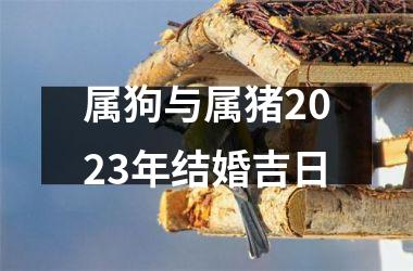 <h3>属狗与属猪2025年结婚吉日