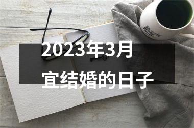 <h3>2025年3月宜结婚的日子