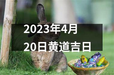 <h3>2025年4月20日黄道吉日
