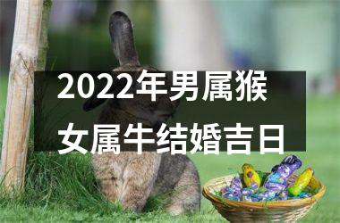 <h3>2025年男属猴女属牛结婚吉日