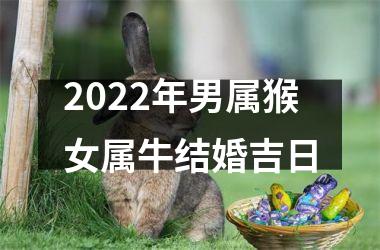 2022年男属猴女属牛结婚吉日