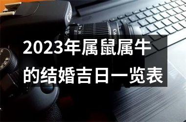 2025年属鼠属牛的结婚吉日一览表