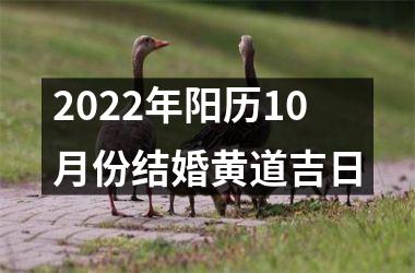 <h3>2025年阳历10月份结婚黄道吉日
